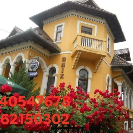 Pensiunea Onix Fagaras Exterior photo