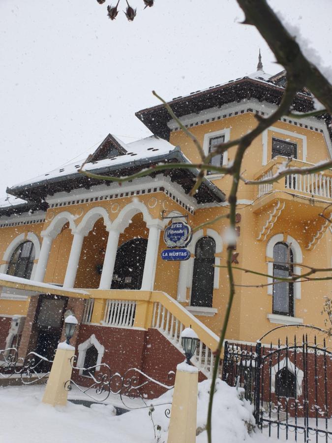 Pensiunea Onix Fagaras Exterior photo