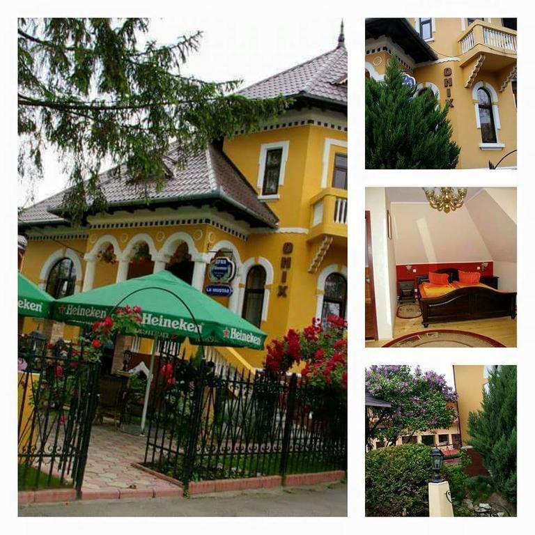 Pensiunea Onix Fagaras Exterior photo