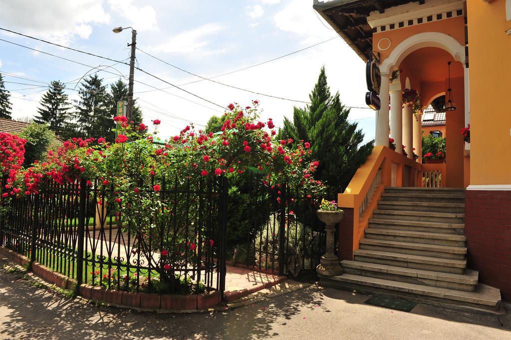Pensiunea Onix Fagaras Exterior photo