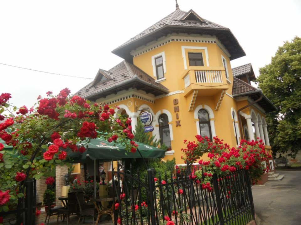 Pensiunea Onix Fagaras Exterior photo