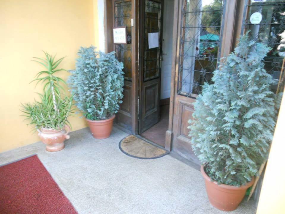 Pensiunea Onix Fagaras Exterior photo