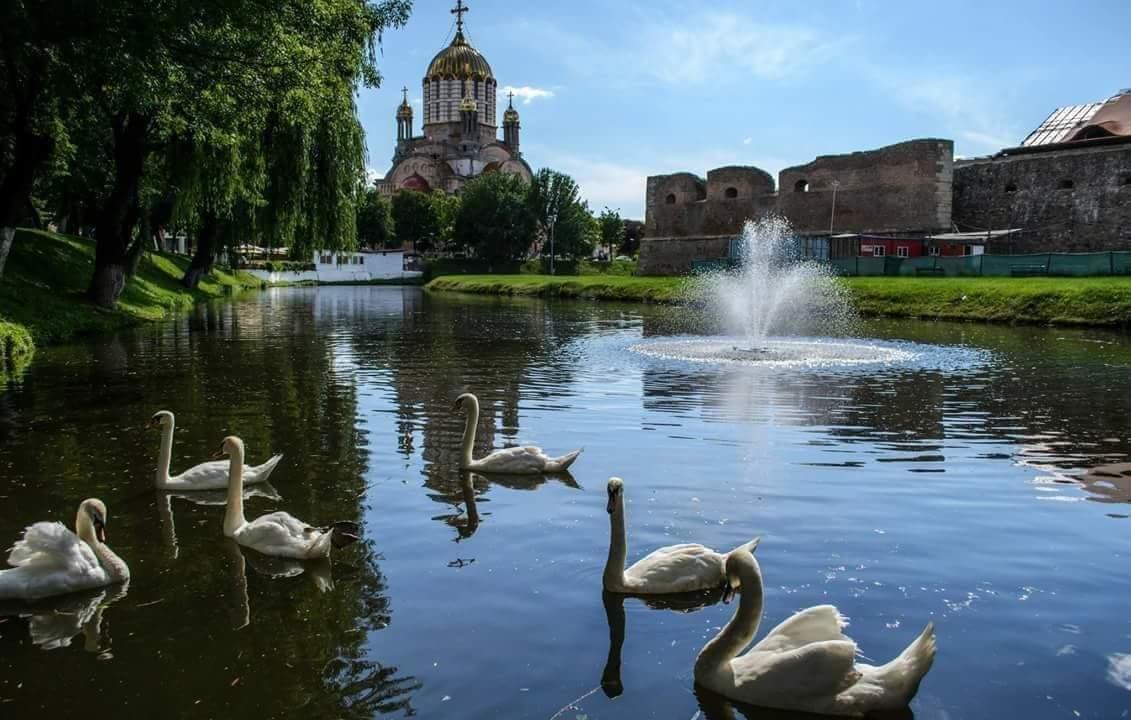 Pensiunea Onix Fagaras Exterior photo