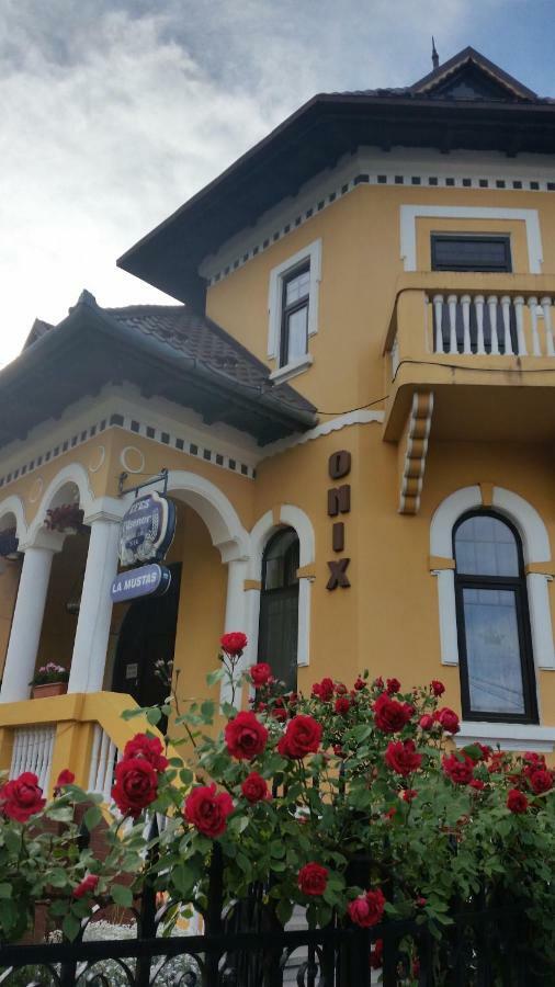 Pensiunea Onix Fagaras Exterior photo